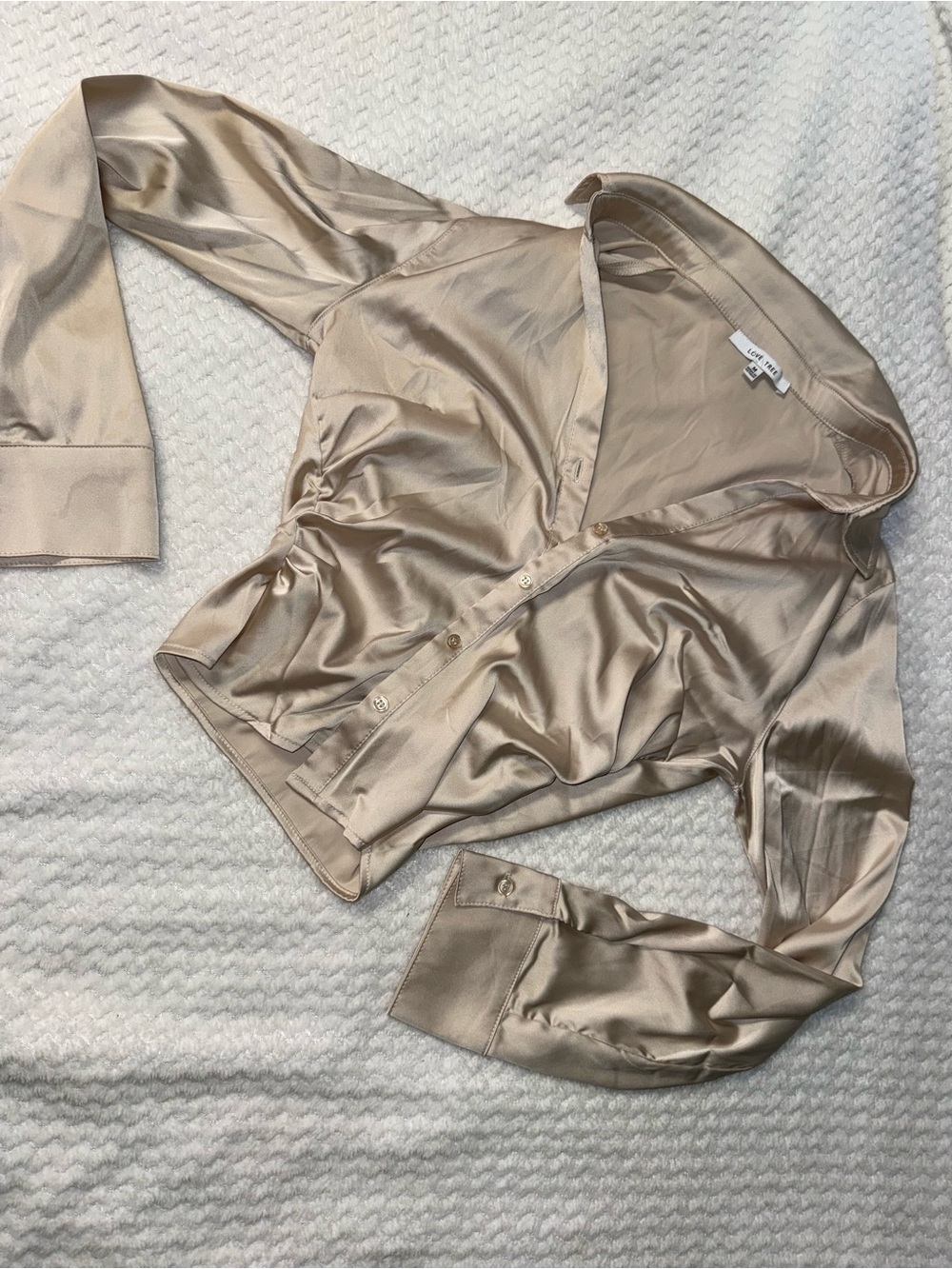 Love Tree Satin Button-Up Blouse in Champagne Beige
